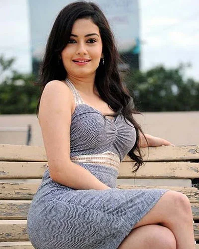 Call Girls in kota